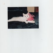 mindy t Mindy from Acton MA